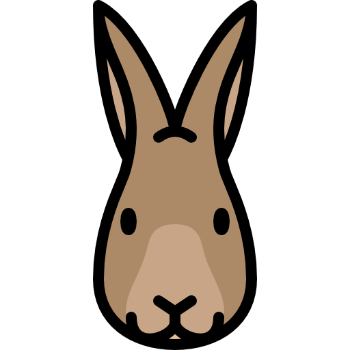 rabbit